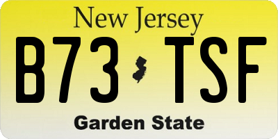 NJ license plate B73TSF