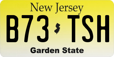 NJ license plate B73TSH