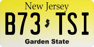 NJ license plate B73TSI