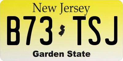 NJ license plate B73TSJ
