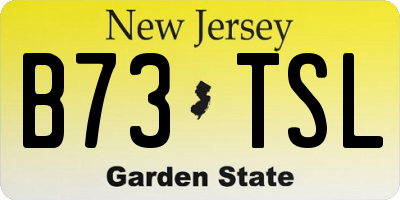 NJ license plate B73TSL
