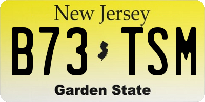NJ license plate B73TSM