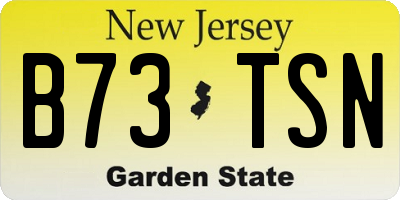 NJ license plate B73TSN