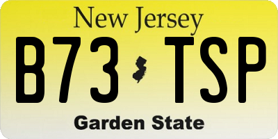 NJ license plate B73TSP