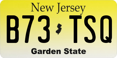 NJ license plate B73TSQ