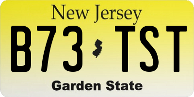 NJ license plate B73TST