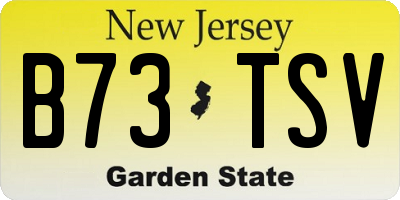 NJ license plate B73TSV