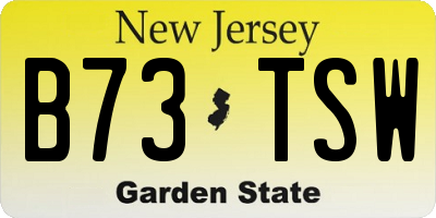 NJ license plate B73TSW