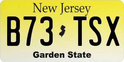 NJ license plate B73TSX