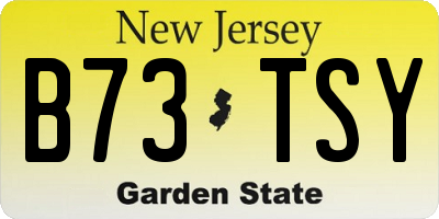 NJ license plate B73TSY
