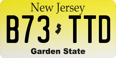 NJ license plate B73TTD