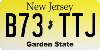 NJ license plate B73TTJ