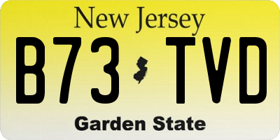 NJ license plate B73TVD