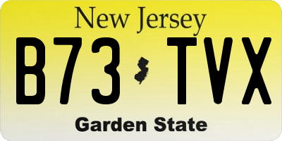 NJ license plate B73TVX