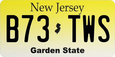 NJ license plate B73TWS