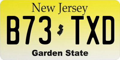 NJ license plate B73TXD