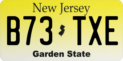 NJ license plate B73TXE