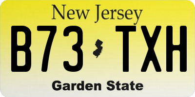 NJ license plate B73TXH