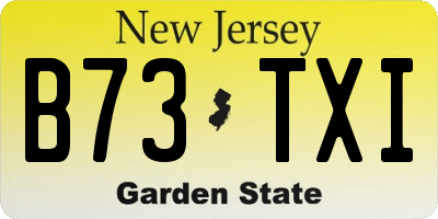 NJ license plate B73TXI