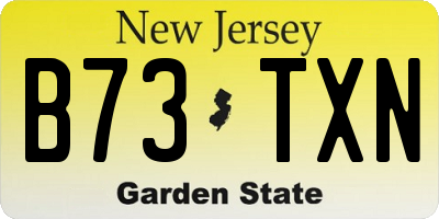 NJ license plate B73TXN
