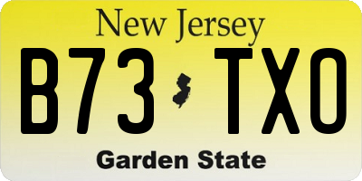 NJ license plate B73TXO