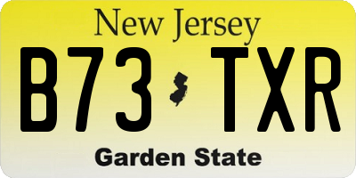 NJ license plate B73TXR