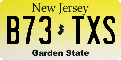 NJ license plate B73TXS