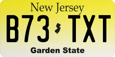 NJ license plate B73TXT
