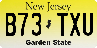 NJ license plate B73TXU