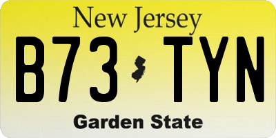 NJ license plate B73TYN