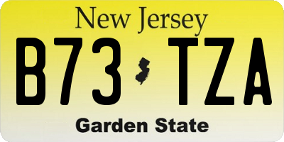 NJ license plate B73TZA