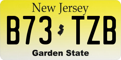 NJ license plate B73TZB