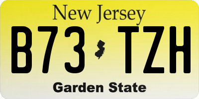 NJ license plate B73TZH
