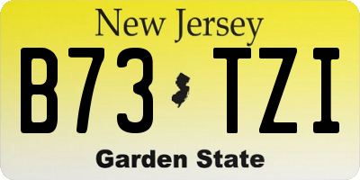 NJ license plate B73TZI