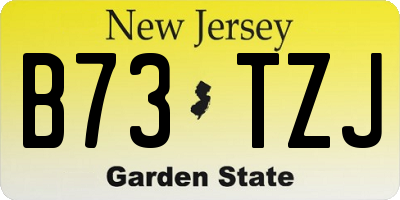 NJ license plate B73TZJ