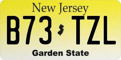 NJ license plate B73TZL