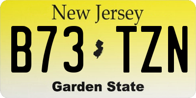 NJ license plate B73TZN