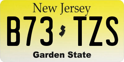 NJ license plate B73TZS