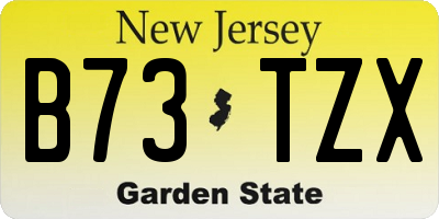 NJ license plate B73TZX