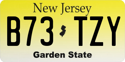 NJ license plate B73TZY