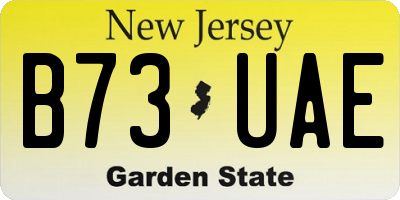 NJ license plate B73UAE