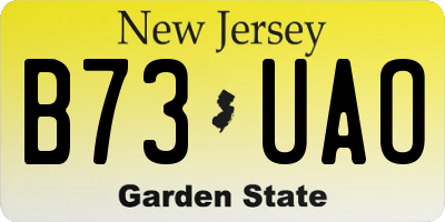 NJ license plate B73UAO