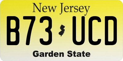 NJ license plate B73UCD