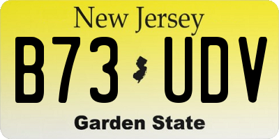 NJ license plate B73UDV