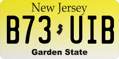 NJ license plate B73UIB