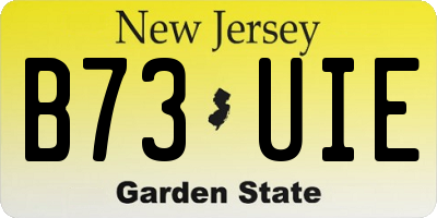 NJ license plate B73UIE