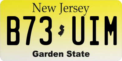 NJ license plate B73UIM