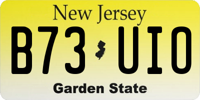 NJ license plate B73UIO