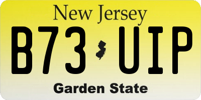 NJ license plate B73UIP