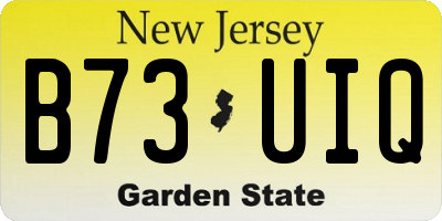 NJ license plate B73UIQ